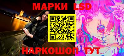 СК Кингисепп