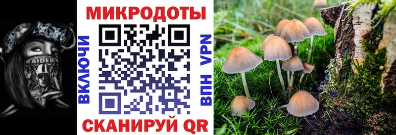 Псилоцибиновые грибы MAGIC MUSHROOMS  Рузаевка 