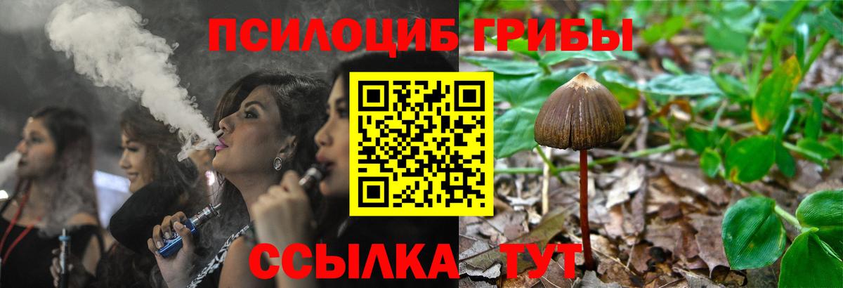 продажа наркотиков  Вход с VPN  Псилоцибиновые грибы ЛСД  Рузаевка  Псилоцибиновые грибы ЛСД 
